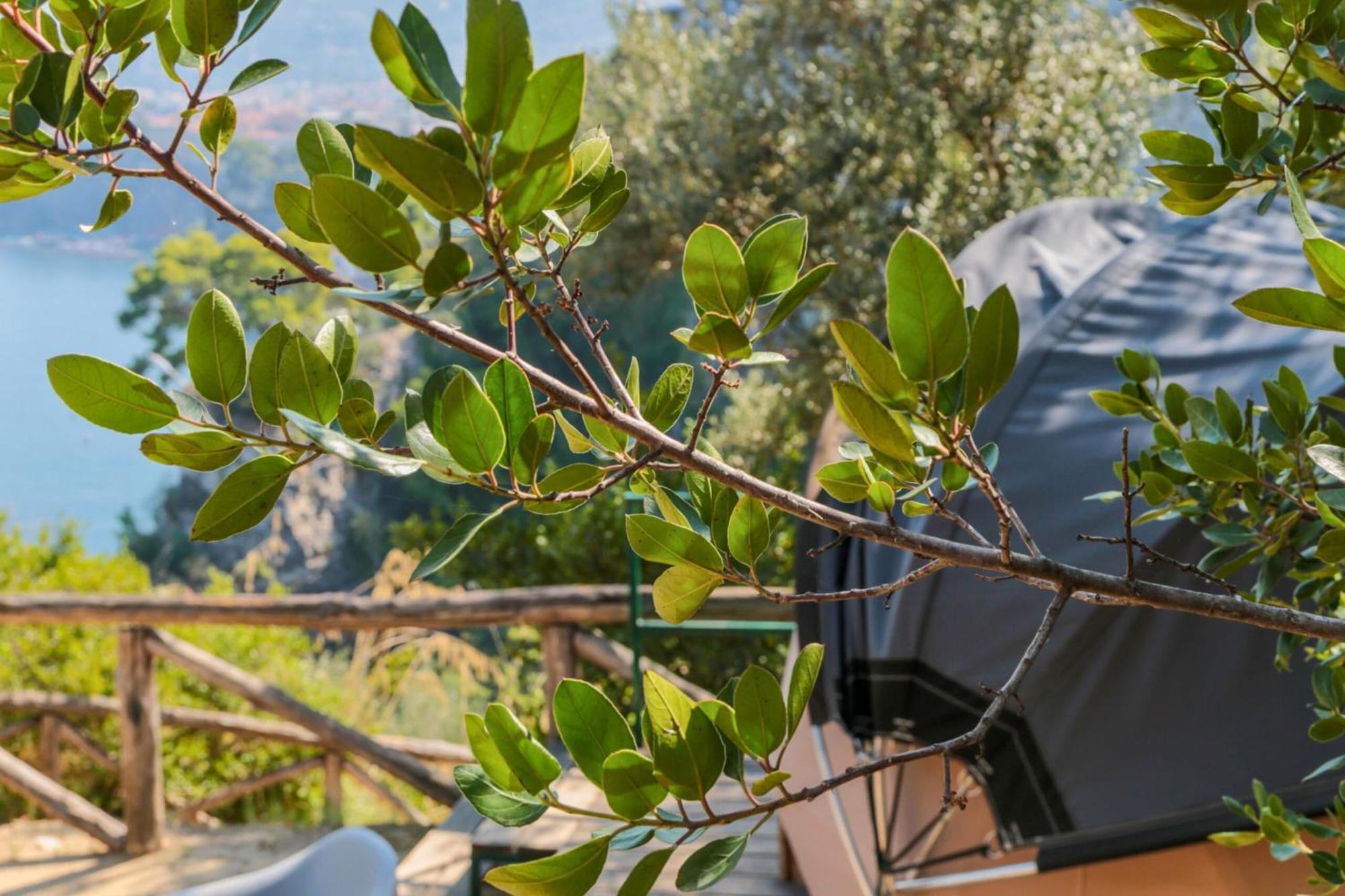 Hostel & Glamping Santa Fortunata 소렌토 외부 사진